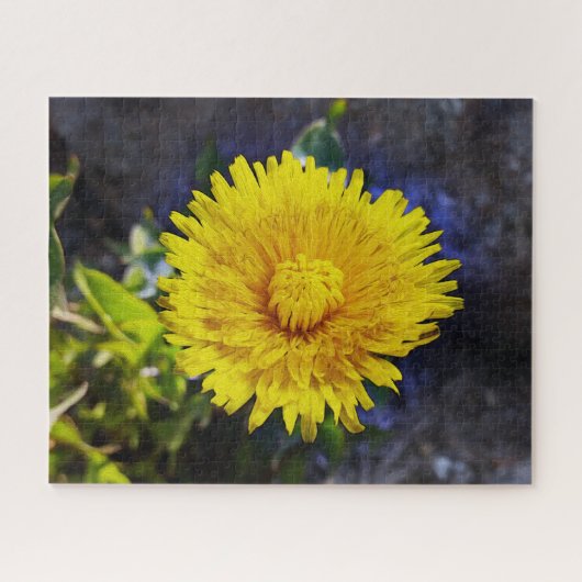 Puzzle Dandelion au soleil (Horizontal)