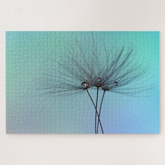 Puzzle Dandelion clocks (Horizontal)