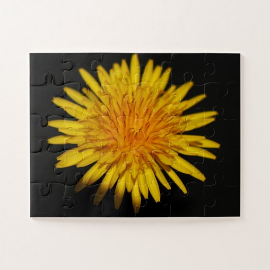 Puzzle Dandelion Flower 11x14 30pc jpcna (Horizontal)