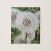 Puzzle Dandelions (Vertical)