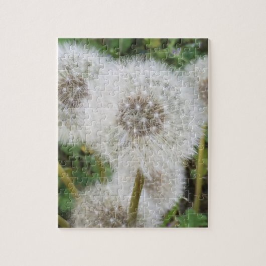 Puzzle Dandelions (Vertical)