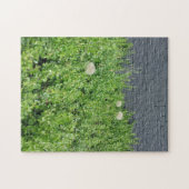 Puzzle Dandelions géants (Horizontal)