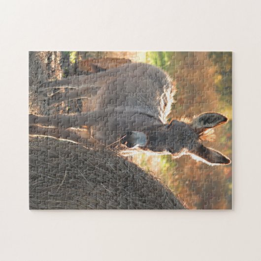 Puzzle d'âne (Horizontal)