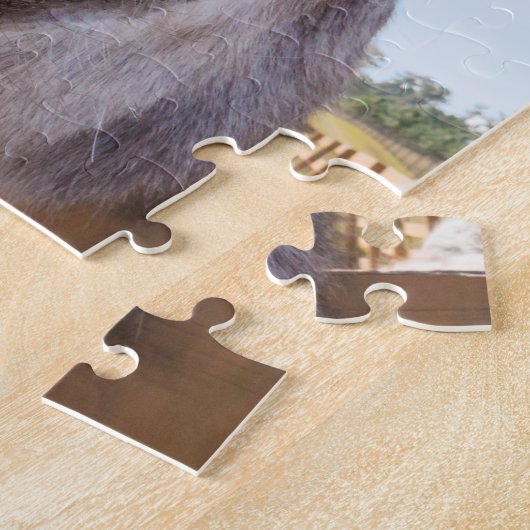 Puzzle d'âne souriant (Côté)