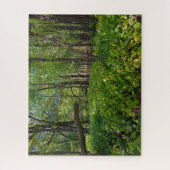 Puzzle dans la forêt à fort snelling state park (Vertical)