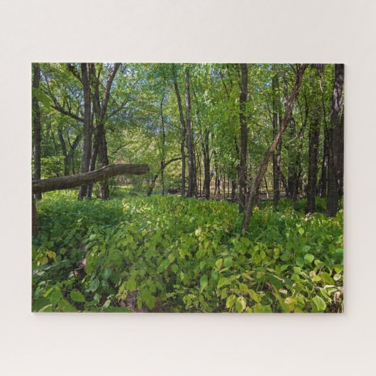 Puzzle dans la forêt à fort snelling state park (Horizontal)