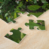 Puzzle dans la forêt à fort snelling state park (Côté)
