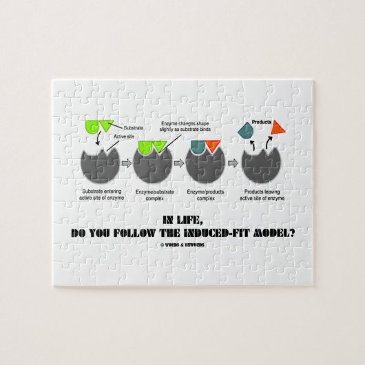 Puzzle Dans la vie, suivez-vous le modèle (Horizontal)