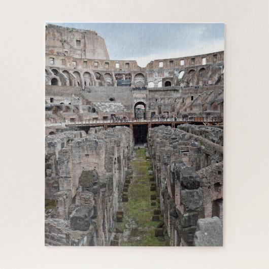 Puzzle Dans le Colisée - Rome - 16x20 - 520 pcs (Vertical)