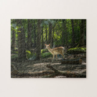 Puzzle Dans les bois