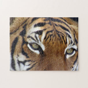 Puzzle Dans les yeux d'un casse-tête tigre