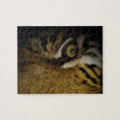 Puzzle Dans l'oeil d'un tigre (Horizontal)