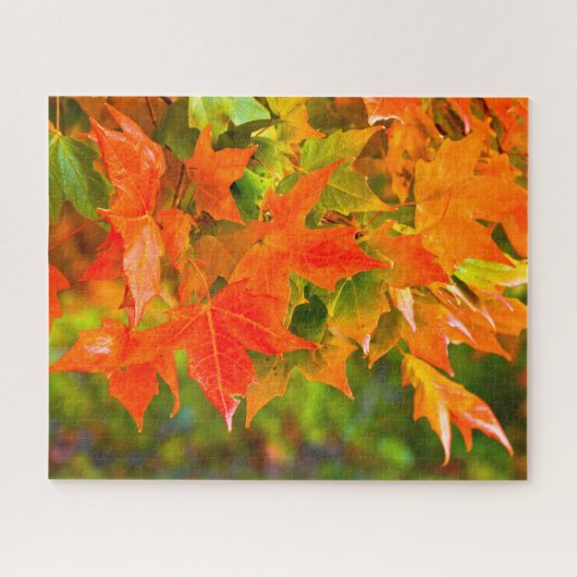 Puzzle Danse Maple Leaf (Horizontal)