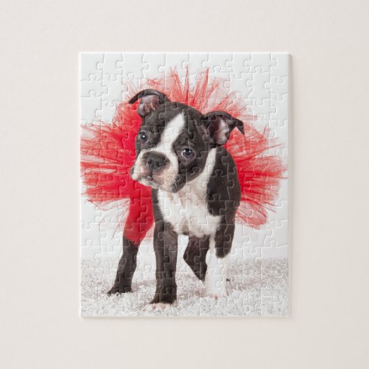 Puzzle Danseur de Boston (Vertical)