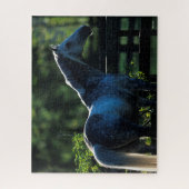 Puzzle Dapple Grey Hanoverian Stallion Standing (Vertical)