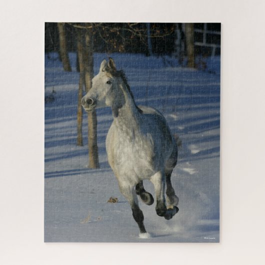 Puzzle Dapple Grey Trakehner Running in the Snow (Vertical)