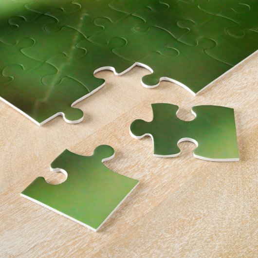 Puzzle d'araignées pour enfants (Côté)