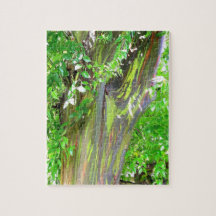 Puzzle d'arbre d'arc-en-ciel