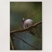 Puzzle Dark Eyed Junco (Vertical)