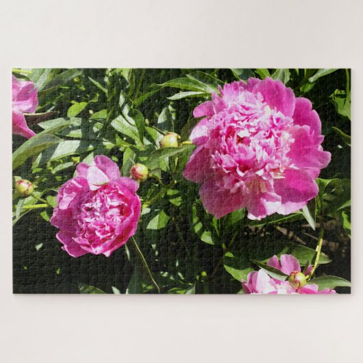 Puzzle Dark rose peonies (Horizontal)