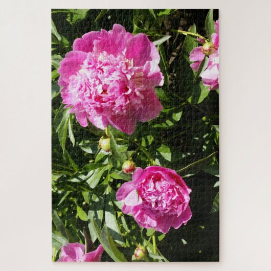 Puzzle Dark rose peonies (Vertical)