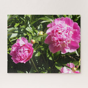 Puzzle Dark rose peonies