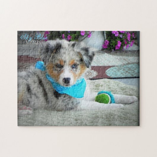 Puzzle d'ARTILLEUR (Horizontal)