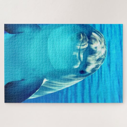 Puzzle dauphin (Horizontal)