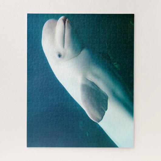 Puzzle Dauphin Blanc (Vertical)