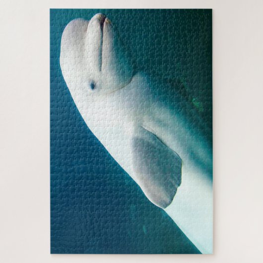 Puzzle Dauphin blanc (Vertical)