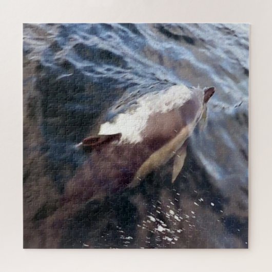 Puzzle Dauphin Commun Faisant Surface Vie Marine Océan Bl (Horizontal)