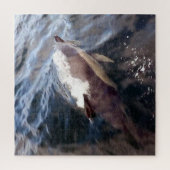 Puzzle Dauphin Commun Faisant Surface Vie Marine Océan Bl (Vertical)