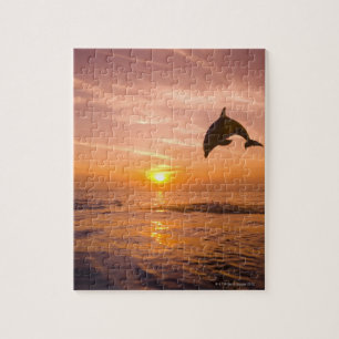 Puzzle Dauphin de Bottlenose sautant 2