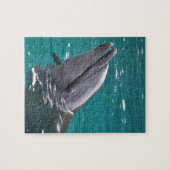 Puzzle Dauphin en vert (Horizontal)
