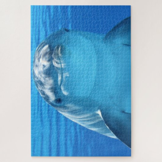 Puzzle Dauphins (Vertical)