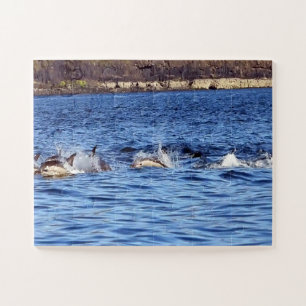 Puzzle Dauphins Communs faisant des bonds Mosaïque