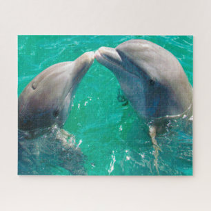 Puzzle Dauphins nos beaux amis