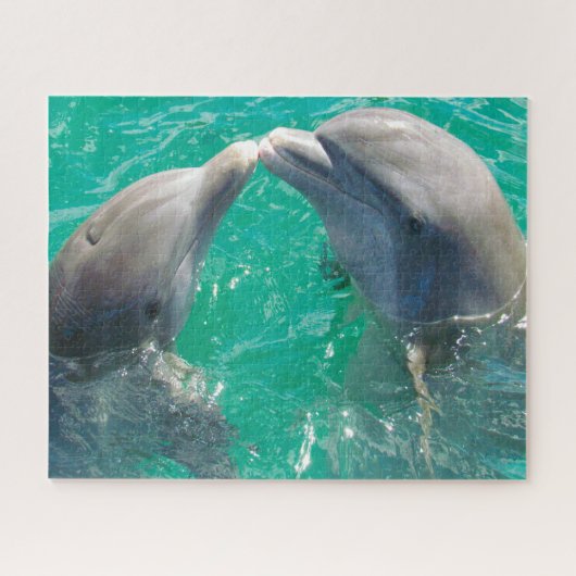 Puzzle Dauphins nos beaux amis (Horizontal)