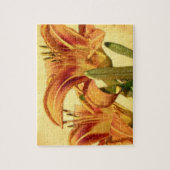 Puzzle Daylilies - Hemerocallis (Vertical)