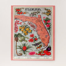 Puzzle de 16x20 Florida Fruit