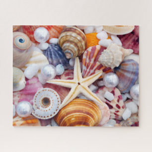 Puzzle de 520 coquillages