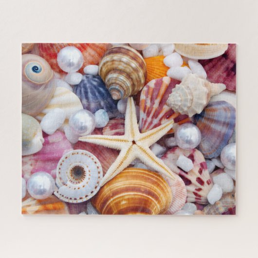 Puzzle de 520 coquillages (Horizontal)