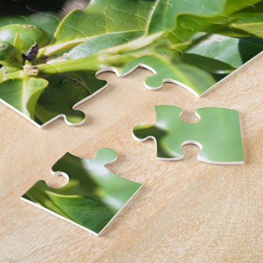 Puzzle de baies de café vert (Côté)