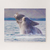 Puzzle de baleine droite (Horizontal)
