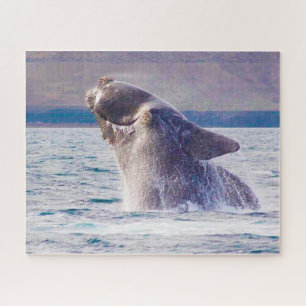 Puzzle de baleine droite