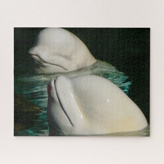 Puzzle de baleines belugas (Horizontal)