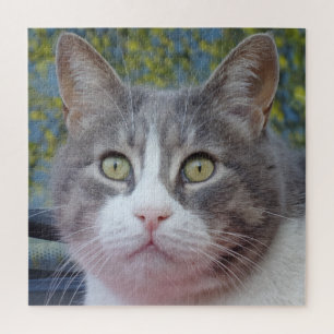Puzzle de beauté gris et blanc, 676 pcs