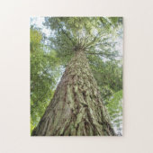 Puzzle de beaux arbres (Vertical)
