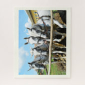 Puzzle De beaux chevaux (Vertical)
