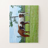 Puzzle De beaux chevaux dans un ranch (Vertical)
